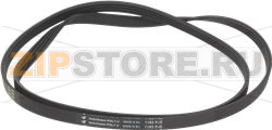 BELT HUTCHINSON 1163 J4 EL 