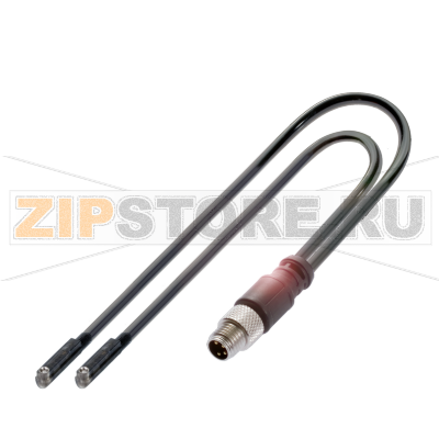 Датчики магнитного поля для C-образного паза Balluff BMF0006 