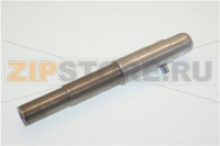 PERNO                     PLT10