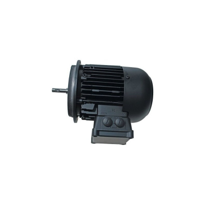 Электродвигатель 16 кВт, 2960 об/мин Weishaupt W-D160/240-2/16K0 