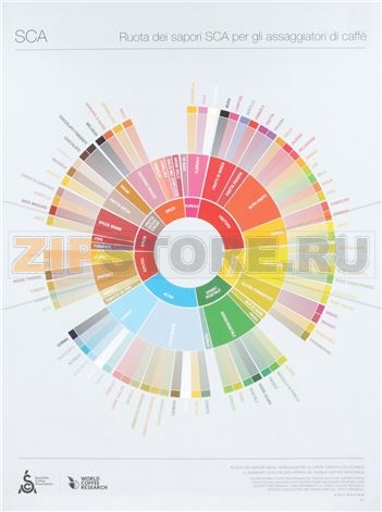 THE COFFEE TASTER&#039;S FLAVOR WHEEL 