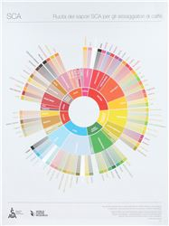 THE COFFEE TASTER&#039;S FLAVOR WHEEL 