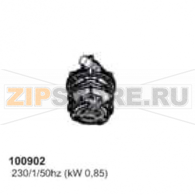 Pump 0,85Kw ZF522DX 230/50/1 Comenda AC2 Pump 0,85Kw ZF522DX 230/50/1 Comenda AC2Запчасть на деталировке под номером: 100902Название запчасти Comenda на английском языке: Pump 0,85Kw ZF522DX 230/50/1 Comenda AC2