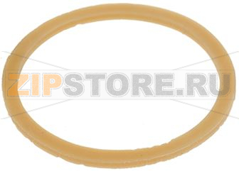 FLAT GASKET ø 48x41x2 mm 