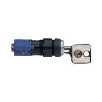 Переключатель ключевой 250 В/AC, 4 А, 1 x выкл/вкл, 1x90°, 1 шт Rafi 1.15.108.911/0000