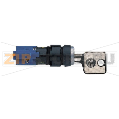 Переключатель ключевой 250 В/AC, 4 А, 1 x выкл/вкл, 1x90°, 1 шт Rafi 1.15.108.911/0000 