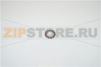 RONDELLA DENTELLATA ESTERNA M6