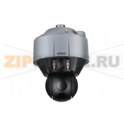 IP-камера Dahua DH-SDT5X225-2F-WA-0600 