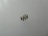 COMPRESSION SPRING ST./STEEL ø 3.7x5.5 m