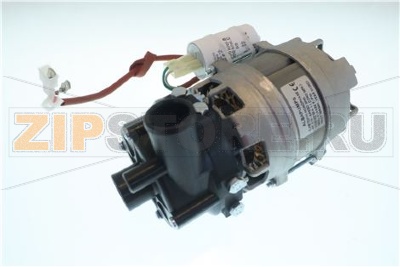 ELETTROPOMPA FIR 5213DX 0,10HP 