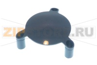 Rocky Grinders Cover