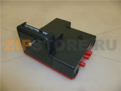 CENTRALINA ACCENSIONE E CONTROLLO FIAMMA 