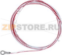 Temperature probe PT 100    max 260 °C (