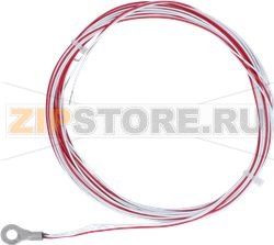 Temperature probe PT 100    max 260 °C ( 
