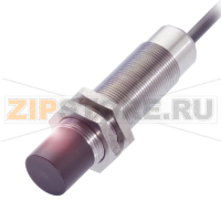 Датчик уровня наполнения емкостной, контактирующий со средой Balluff BCS00MA