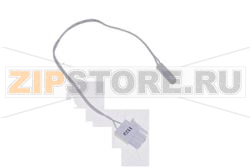 SONDE TEMP DTN 