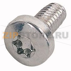 Винт M6x12 саморез Eaton XNNGFS-M6X12 