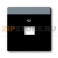 Накладка для однопостовой розетки с полем для надписи, чёрная ABB 2CKA001710A3912