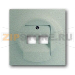 Накладка для двухпостовой розетки с полем для надписи ABB 2CKA001753A9038 