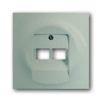 Накладка для двухпостовой розетки с полем для надписи ABB 2CKA001753A9038