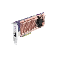 Карта расширения QNAP QM2-2P410G1T