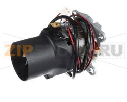 BLENDER MOTOR (230V ONLY) 
