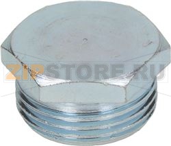 ЗАТЫЧКА Ø 1&quot;M 