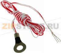 Temperature probe, PT 100   -50 +260 °C