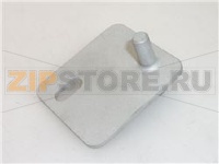 ASS.PIASTR.CERN.SUP.SX-DX