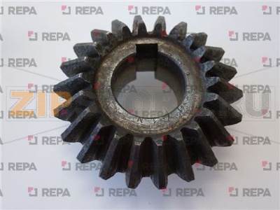 PIGNONE CONICO CONDOTTO TENIFER 