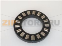 GABBIA ASSIALE K81207-TV