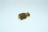 UGELLO  M9 X 1  H18,5        165L