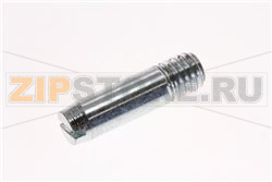 PERNO CERNIERA PORTA INDESIT C00172138 