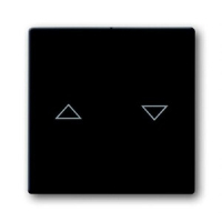 Клавиша для выключателя жалюзи, антрацитовая ABB 2CKA001751A2934