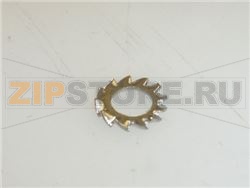WASHER ST. STEEL TOOTHED M4x8 