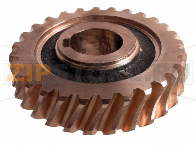 Шестерня червячная для миксера Gastromix B 20C-65 