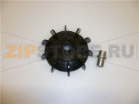 КРЫЛЬЧАТКА