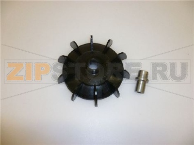 КРЫЛЬЧАТКА 