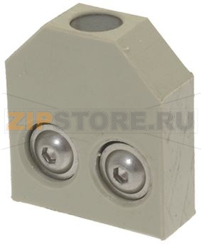 МАГНИТНЫЙ МИКРОПЕРЕКЛЮЧАТЕЛЬ 