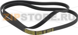 BELT 1310 J5 EL 