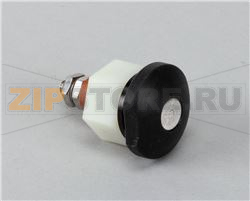 SONDA, A FUNGO, CONTROLLO DEL LIVELLO 