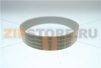 CINGHIA PIATTA TB2 266 X 8     195