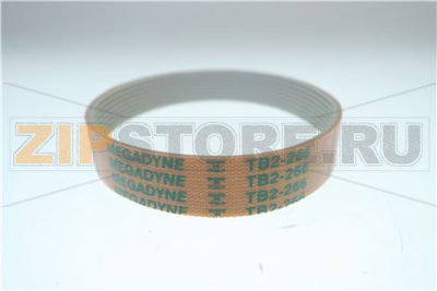 CINGHIA PIATTA TB2 266 X 8     195 