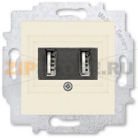 USB-розетка двойная, слоновая кость ABB 2CHH290040A6017