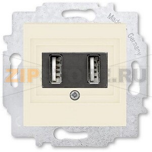 USB-розетка двойная, слоновая кость ABB 2CHH290040A6017 