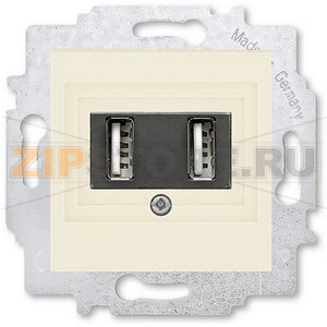 USB-розетка двойная, слоновая кость ABB 2CHH290040A6017 