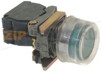 PULSANTE MARCIA LUMINOSO COMPLETO