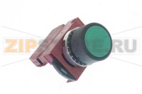 PULSANTE START COLORE VERDE