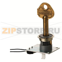 FCA1206-Z1 - Ключ доступа (Nordic SE) Siemens FCA1206-Z1