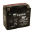 YUASA YTX20L-BS